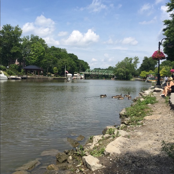 Meet your Posher, Yasmin - Picture 1 of 1